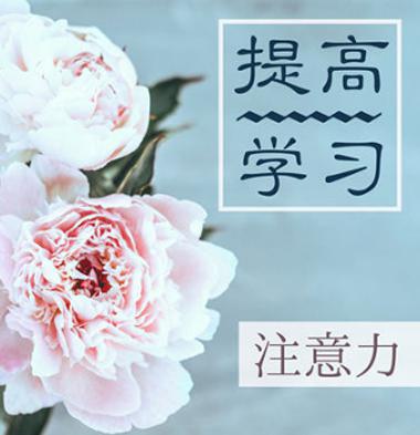 抽动症公益网-注意力记忆力如何培养？